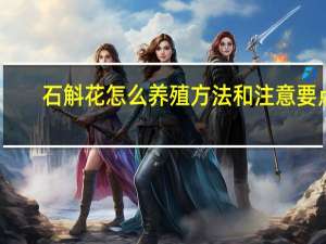 石斛花怎么养殖方法和注意要点