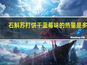 石斛 苏打饼干蓝莓味的热量是多少