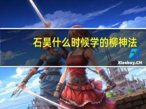 石昊什么时候学的柳神法