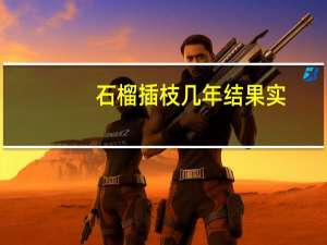 石榴插枝几年结果实