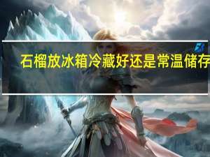石榴放冰箱冷藏好还是常温储存好