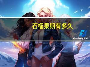 石榴果期有多久