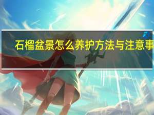 石榴盆景怎么养护方法与注意事项