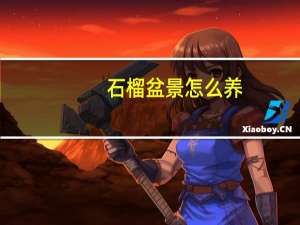 石榴盆景怎么养