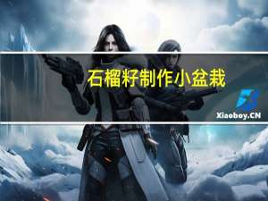 石榴籽制作小盆栽