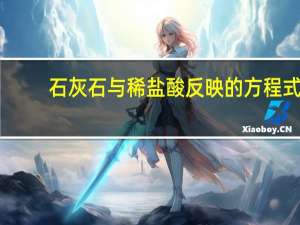 石灰石与稀盐酸反映的方程式。