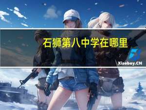 石狮第八中学在哪里？