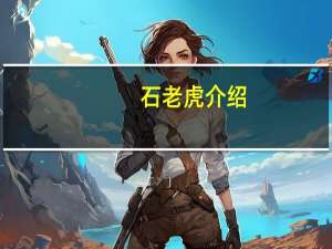石老虎介绍