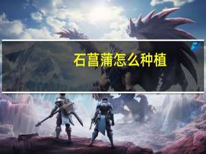 石菖蒲怎么种植