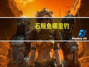 石鳗鱼哪里钓（石鳞鳗在哪里可以钓到 哪里最多 白天几率高还是晚上）