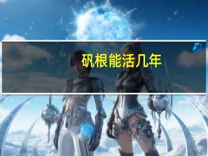 矾根能活几年