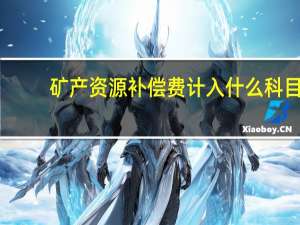 矿产资源补偿费计入什么科目