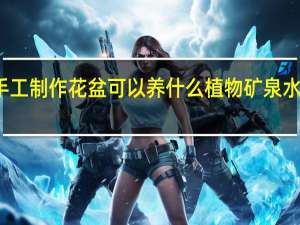 矿泉水瓶手工制作花盆可以养什么植物 矿泉水瓶手工简易好看