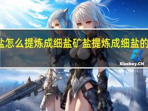 矿盐怎么提炼成细盐 矿盐提炼成细盐的过程介绍