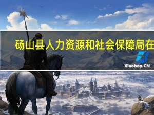 砀山县人力资源和社会保障局在哪（砀山县人力资源和社会保障局）