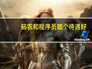 码农和程序员哪个待遇好（码农和程序员的区别）
