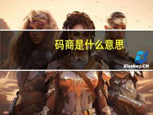 码商是什么意思