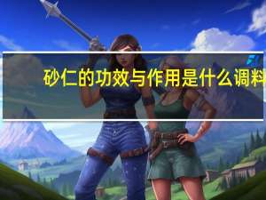 砂仁的功效与作用是什么调料（砂仁的功效与作用）
