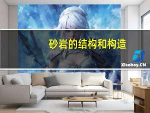 砂岩的结构和构造