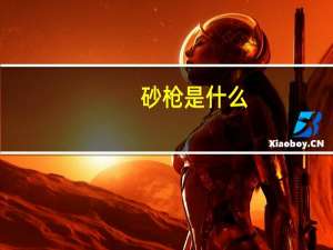 砂枪是什么