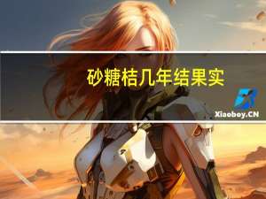 砂糖桔几年结果实