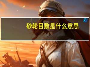 砂轮目数是什么意思