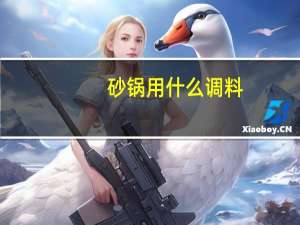 砂锅用什么调料