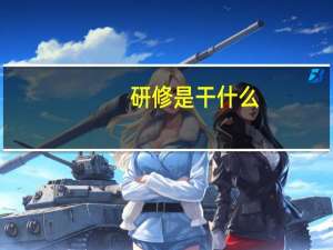 研修是干什么