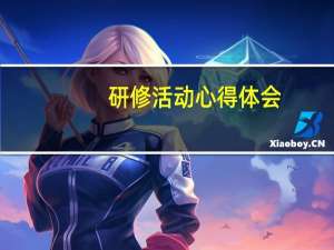 研修活动心得体会