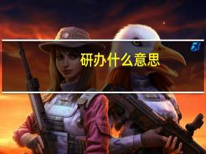 研办什么意思