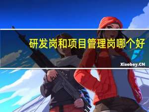 研发岗和项目管理岗哪个好