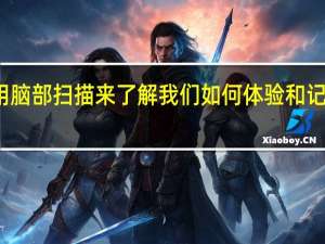 研究人员使用脑部扫描来了解我们如何体验和记住我们的日常环境