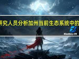 研究人员分析加州当前生态系统中的碳封存
