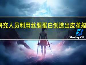 研究人员利用丝绸蛋白创造出皮革般的材料