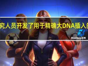 研究人员开发了用于精确大DNA插入的新工具