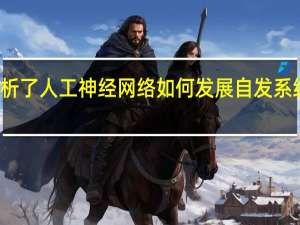 研究分析了人工神经网络如何发展自发系统来命名颜色