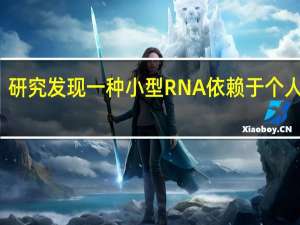 研究发现一种小型RNA依赖于个人属性