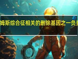 研究发现与威廉姆斯综合征相关的删除基因之一负责大脑中的线粒体功能