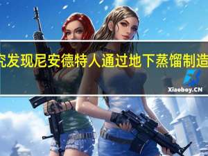 研究发现尼安德特人通过地下蒸馏制造合成材料