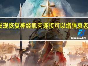 研究发现恢复神经肌肉连接可以增强衰老小鼠的力量