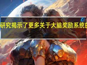 研究揭示了更多关于大脑奖励系统的信息