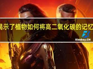 研究揭示了植物如何将高二氧化碳的记忆传递给后代