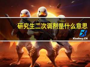 研究生二次调剂是什么意思