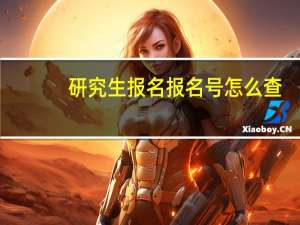研究生报名报名号怎么查