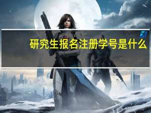 研究生报名注册学号是什么