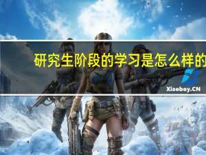 研究生阶段的学习是怎么样的