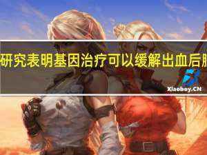 研究表明基因治疗可以缓解出血后脑积水