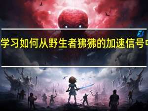 研究表明机器学习如何从野生狒狒的加速信号中识别社交修饰行为