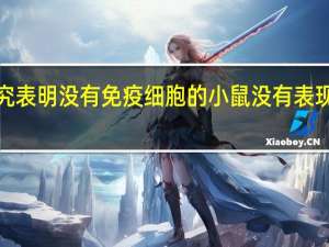 研究表明没有免疫细胞的小鼠没有表现出 SARS-CoV-2 症状