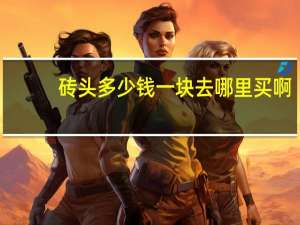 砖头多少钱一块去哪里买啊（砖头多少钱一块）